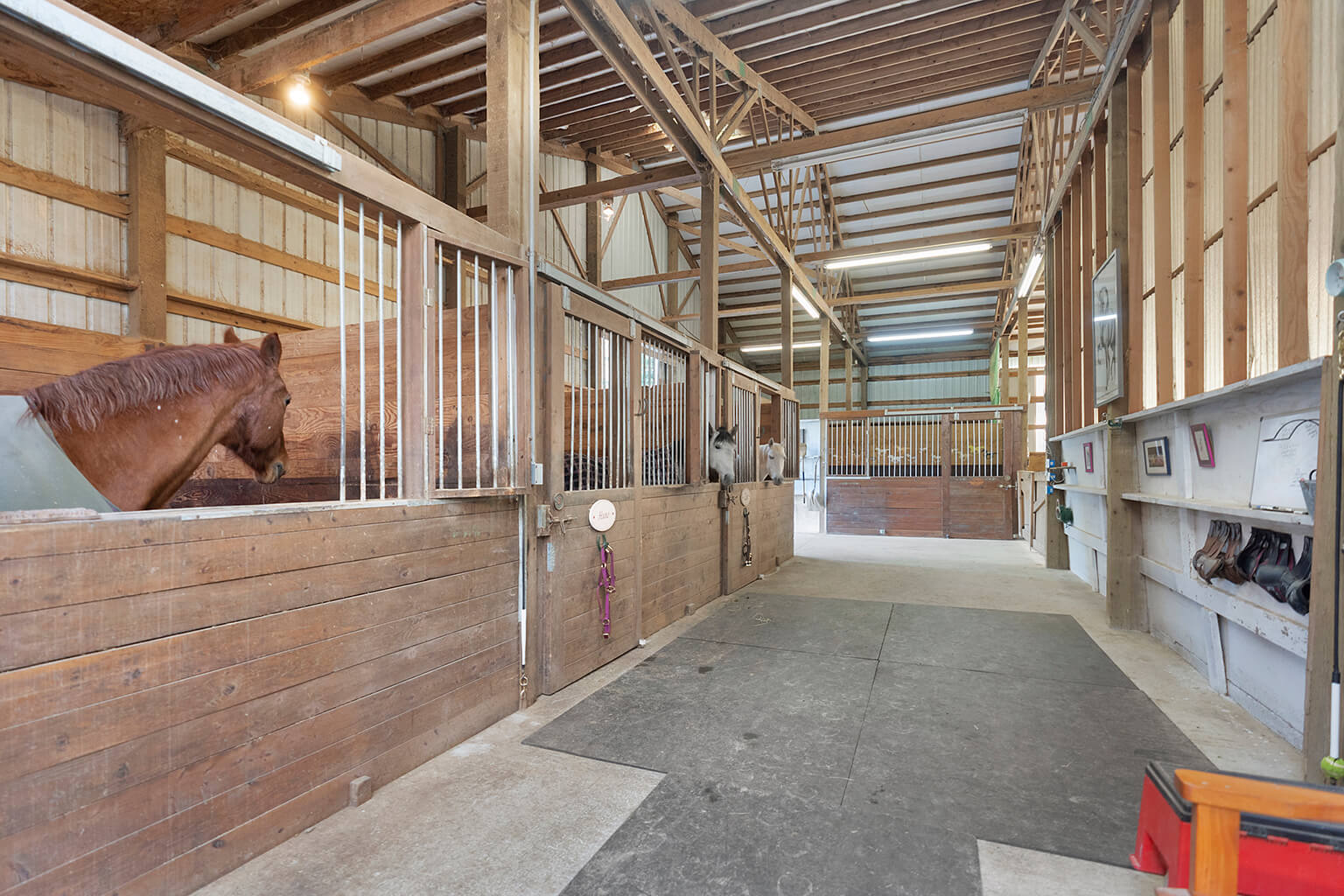 Five stall show barn with 12’ wide concrete aisle way